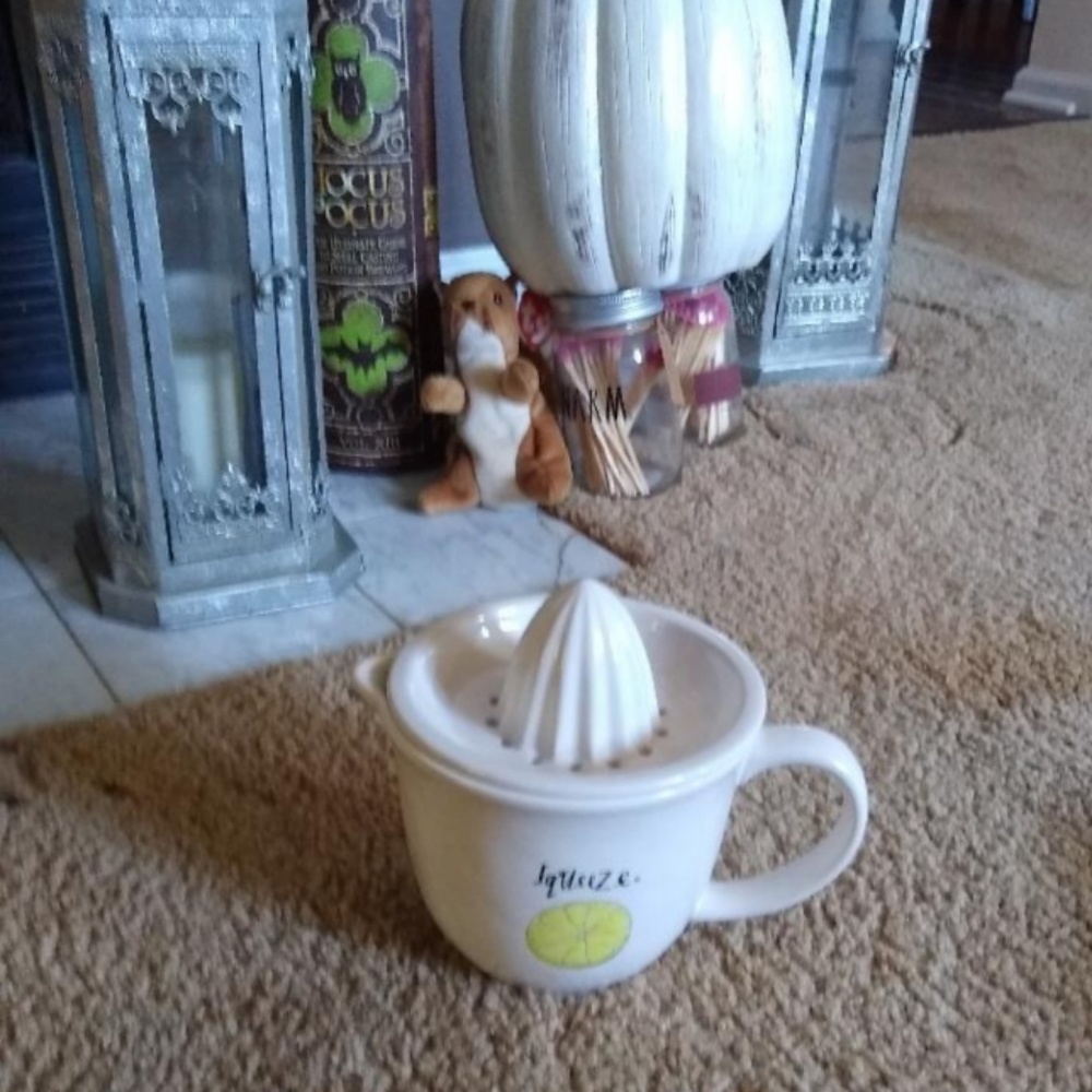 Rae Dunn Juicer